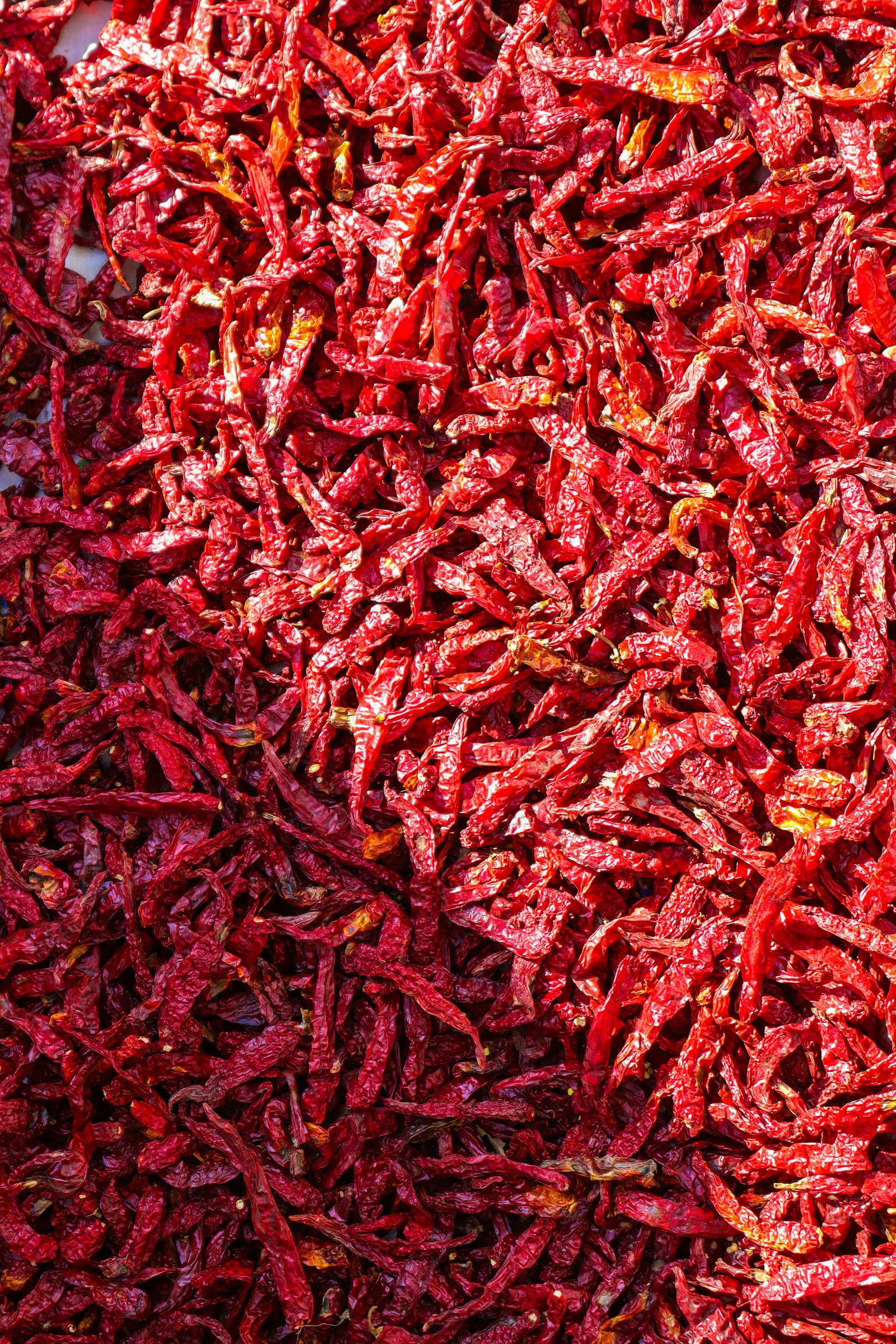 Dried Red Chilli